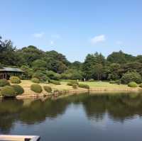 【東京観光】東京の癒しスポット🌳