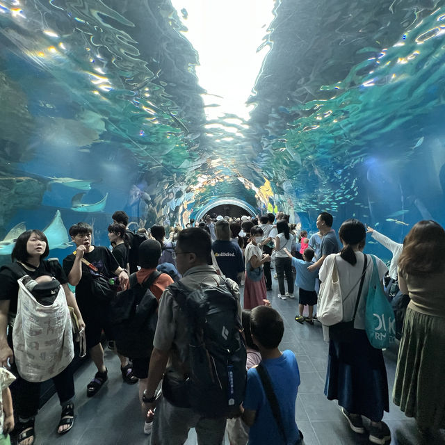 「品川王子大飯店內的品川水族館，夏日室內活動首選！」