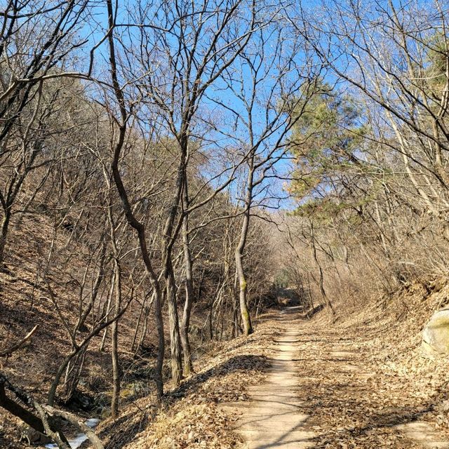두근두근여름휴가 남녀노소 가볍게 등산하기 좋은 음성의 보덕산 큰산 등산 