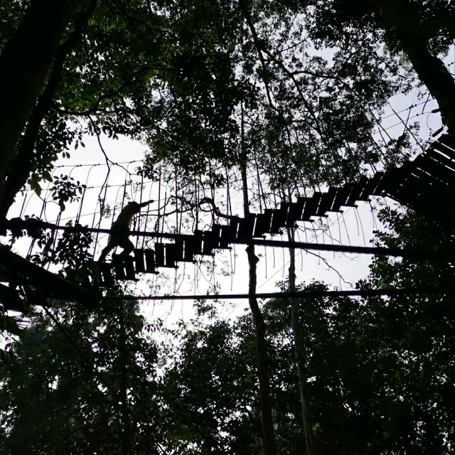 BEST FOREST ADVENTURE IN MELAKA.