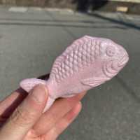 明石グルメ！藤江屋分大は明石が誇る老舗の和菓子屋！手土産に最適