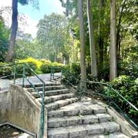 🌈隱世後花園-中葵涌公園