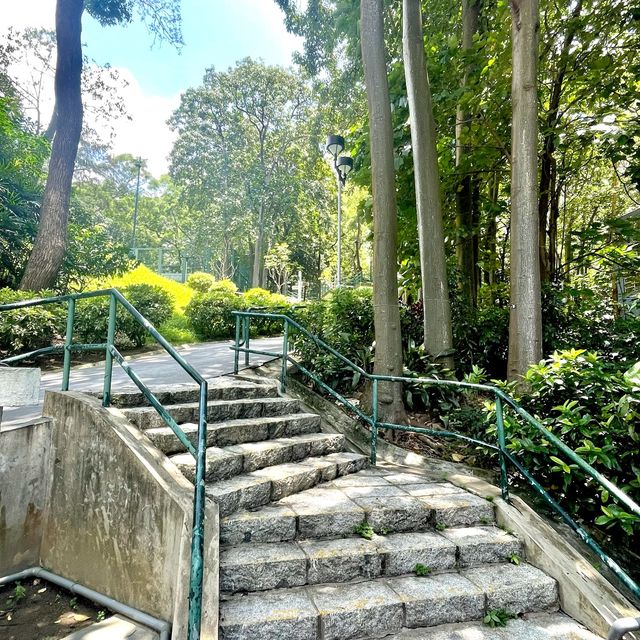 🌈隱世後花園-中葵涌公園