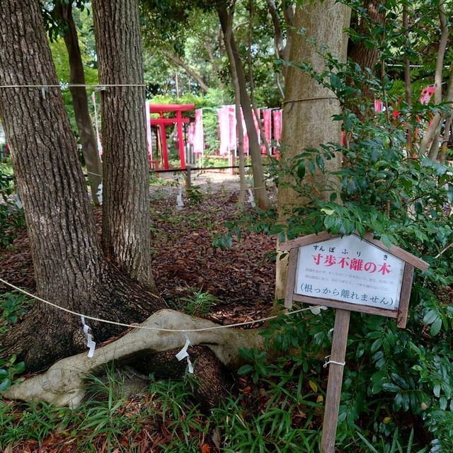 愛知旅行！住吉神社「旧名 入水神社」