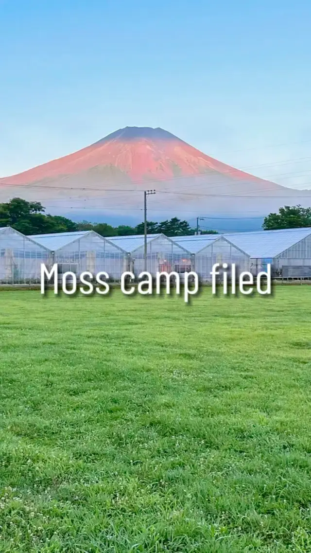 Vlog | Moss Camp Field