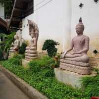 วัดปันเสา  ปาฏิหาริย์พระธาตุเสด็จ เชียงใหม่