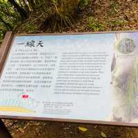 享受森林浴-墾丁國家森林遊樂區