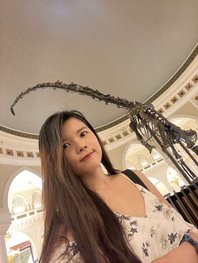 I found a 🦕fossil in Dubai! 