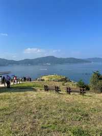 그림같은 풍경을 볼 수 있는 바람의 언덕💨🏝️