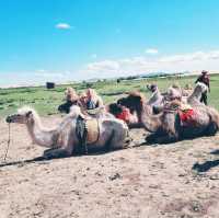 Camel Riding in Elsen Tasarkhai Sand Dune