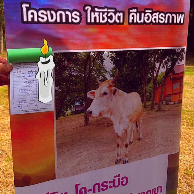 วัดเบญจมบพิตร วัดสวยบนเหรียญ
