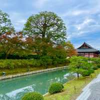 To-ji: Kyoto's Heritage Gem