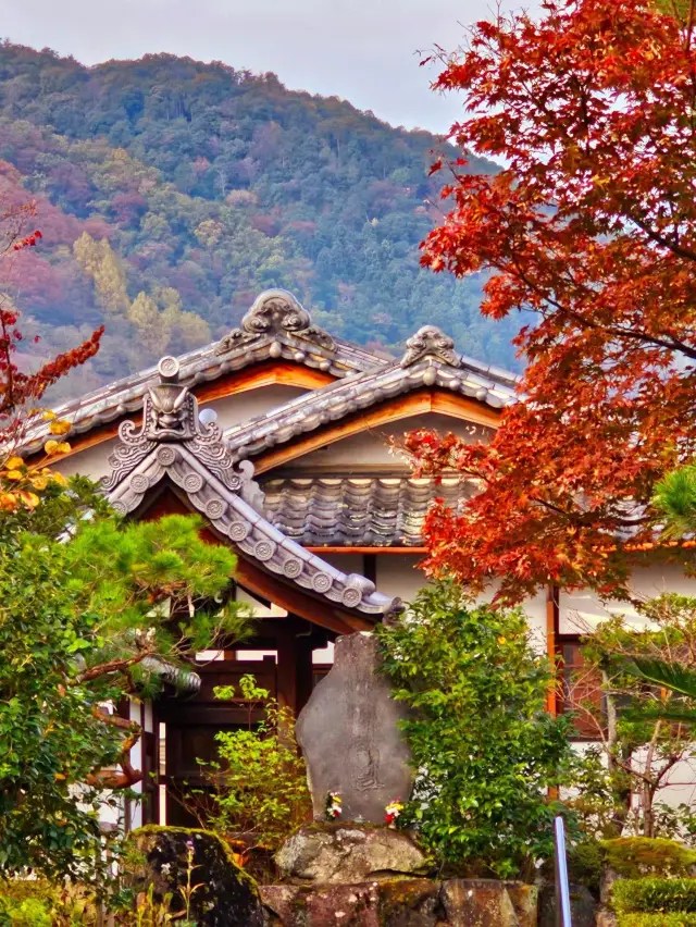 Arashiyama , Kyoto japan 🇯🇵