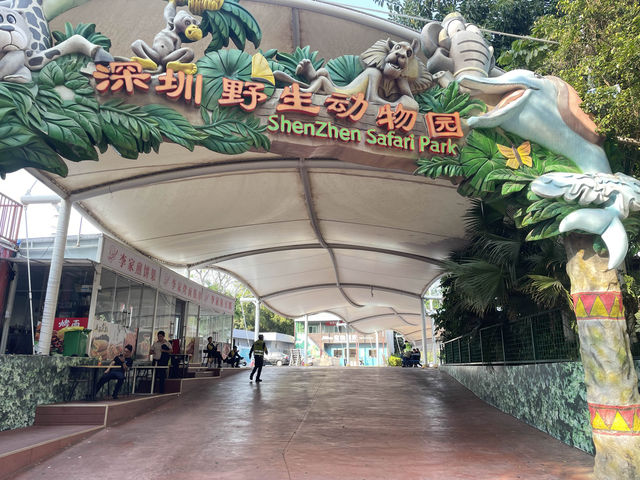 好玩的深圳野生動物園