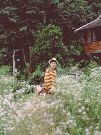 Mori Natural Farm โมริ เนเชอรัลฟาร์ม เชียงใหม่ 