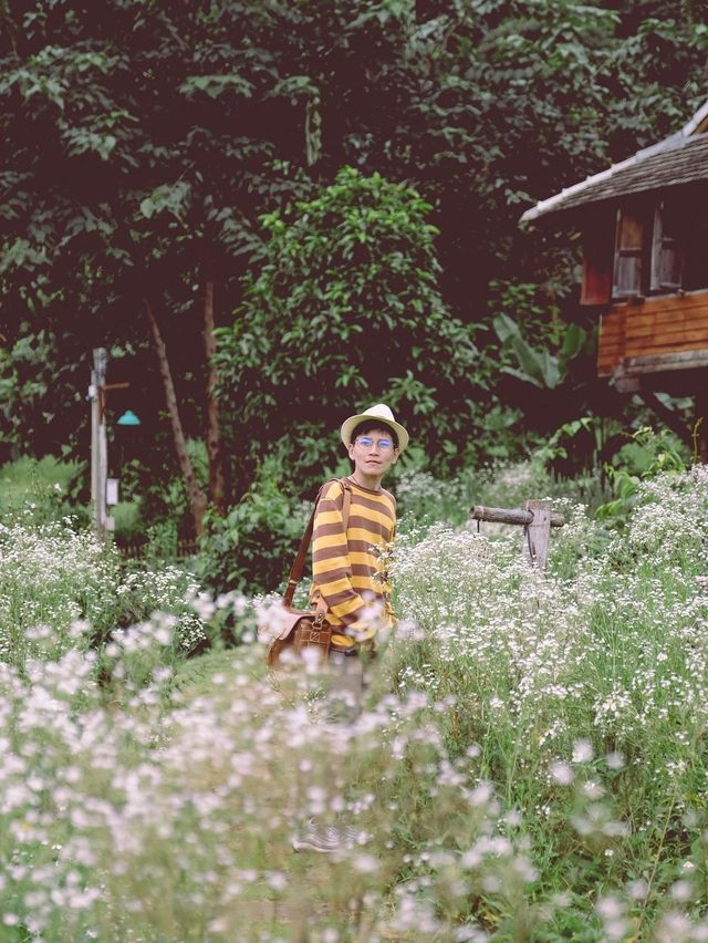 Mori Natural Farm โมริ เนเชอรัลฟาร์ม เชียงใหม่ 