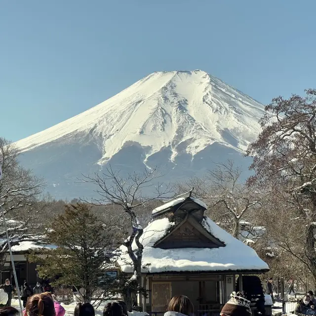 富士山｜忍野八海🗻雪水融化而來的湧泉池