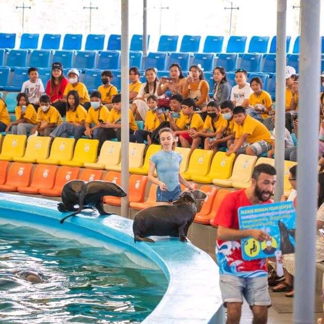  ดูแมวน้ำ 🦭 เล่นกับโลมา 🐬
Dolphins Bay Phuket