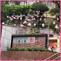 九龍公園😍