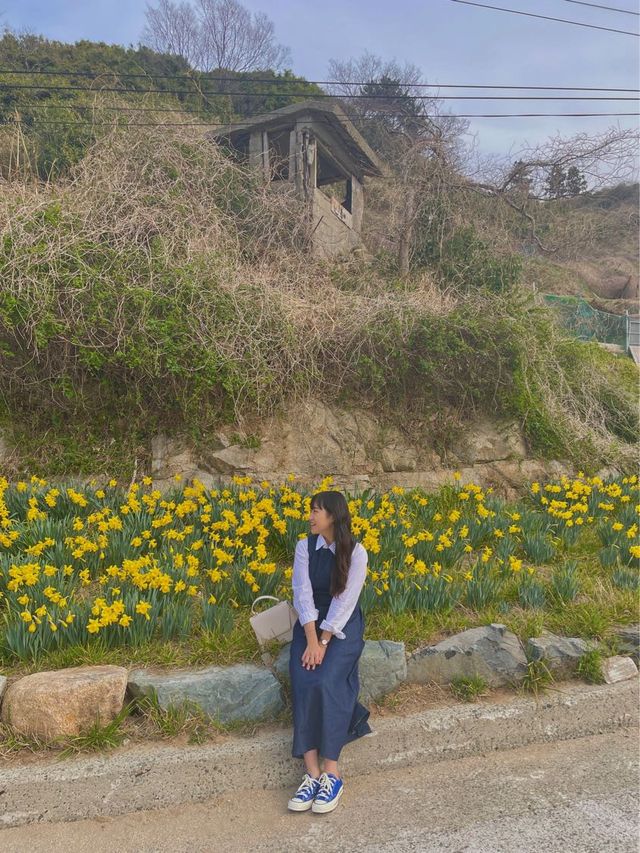 [거제] 구조라해수욕장 수선화 구경하러 고고