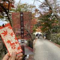 神秘古剎—日本京都宇治市「興聖寺」
