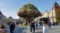 Everland Theme Park, Yongin