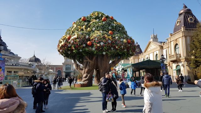 Everland Theme Park, Yongin