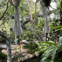 ดิ โอโซน คาเฟ่คลายร้อน ที่บางกระเจ้า