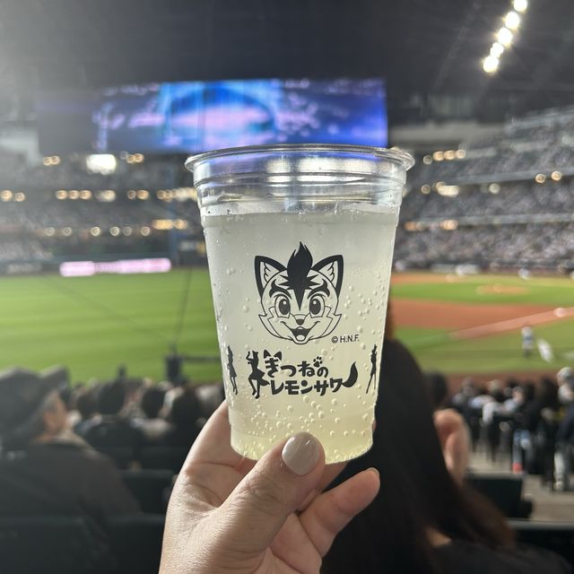 ボールパーク🏟️エスコンフィールド北海道
