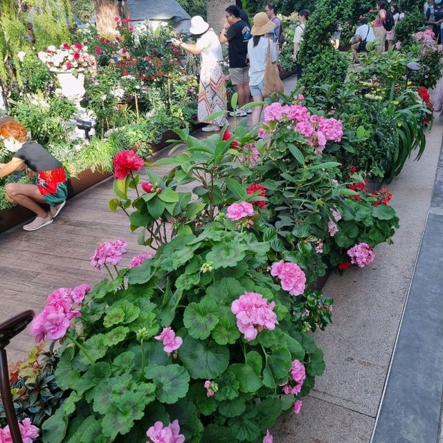 The Flower Dome @ Gardens By The Bay