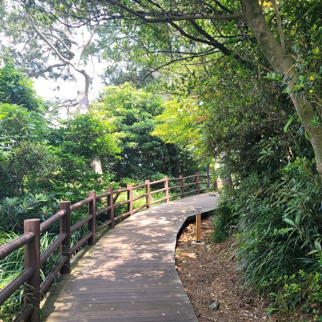 서귀포여행 제주도 올레길 7코스의 멋진 외돌개