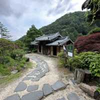 The Garden of Morning Calm