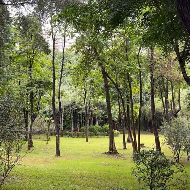🤹🏻‍♂️蓮花山公園 | 遊山玩水🏵️