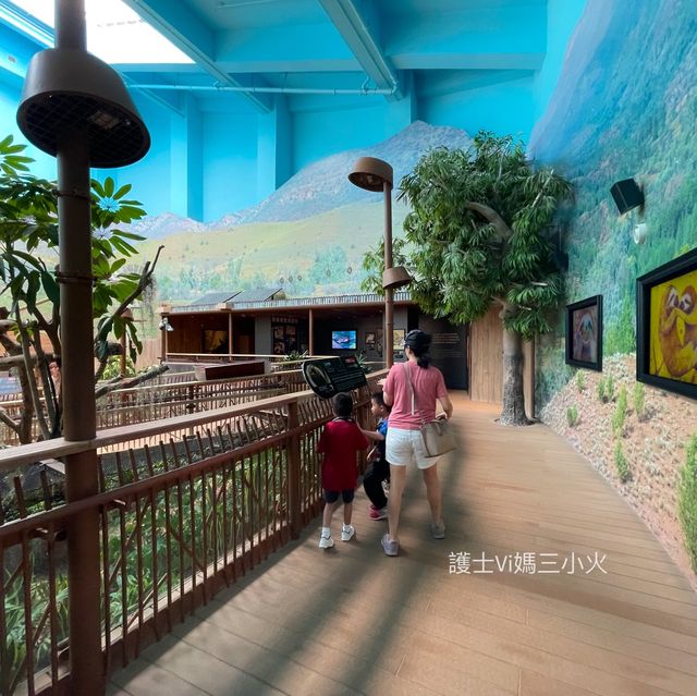 《近距離睇樹懶🦥隱藏的新展館🤩》