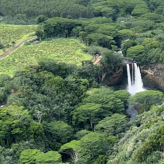 PARADISE ON EARTH - ALOHA FROM HAWAII 