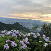 【皿倉山】