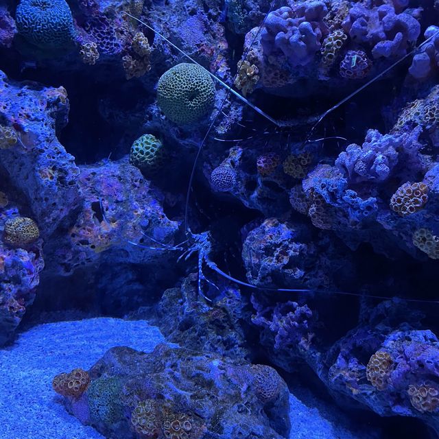 曼谷暹羅海洋世界