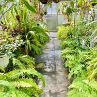 【熱川バナナワニ園】たくさんの熱帯植物に癒される
