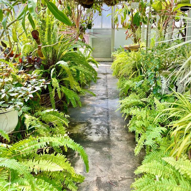 【熱川バナナワニ園】たくさんの熱帯植物に癒される