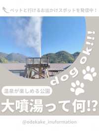 【静岡】わんこと行ける温泉公園♨️