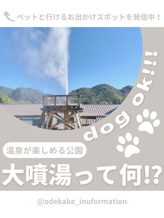 【静岡】わんこと行ける温泉公園♨️