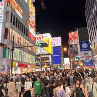 Osaka night lights at the Dotombori