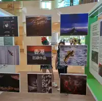 大自然保護協會攝影比賽作品展的個人體驗及感受