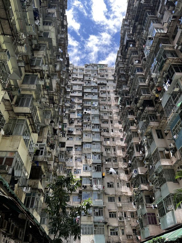 홍콩 인생샷은 익청빌딩에서 🏙️📸