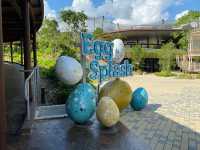 Egg Splash Café and Shop