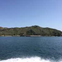 犬島 ｜🏝️小島與藝術的結合