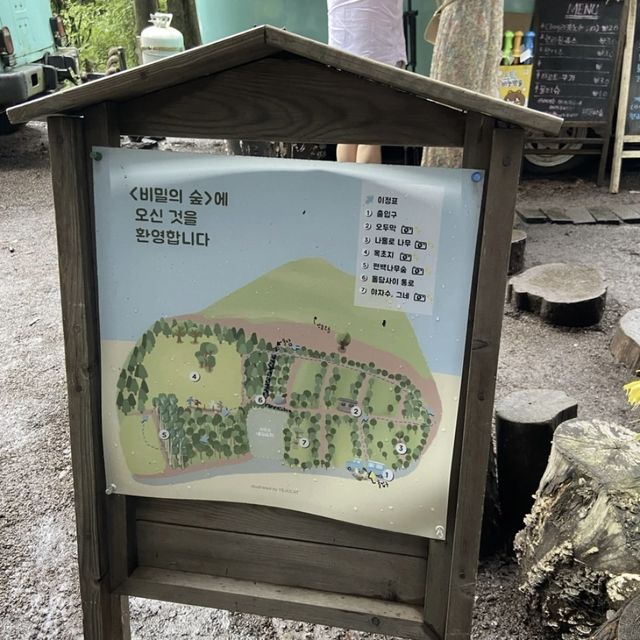 제주 푸릇한 숲에서 감성여행하기 🌳 안돌오름 비밀의숲