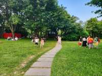 深圳灣 | 休閒好去處-深圳灣公園