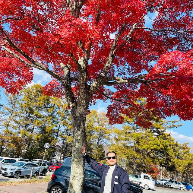 Autumn is love in Japan