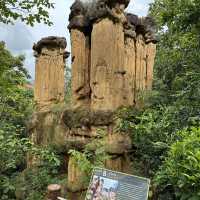 ผาช่อ Phachor (Mae Wang National Park) เชียงใหม่